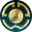 Flag fifa club wc