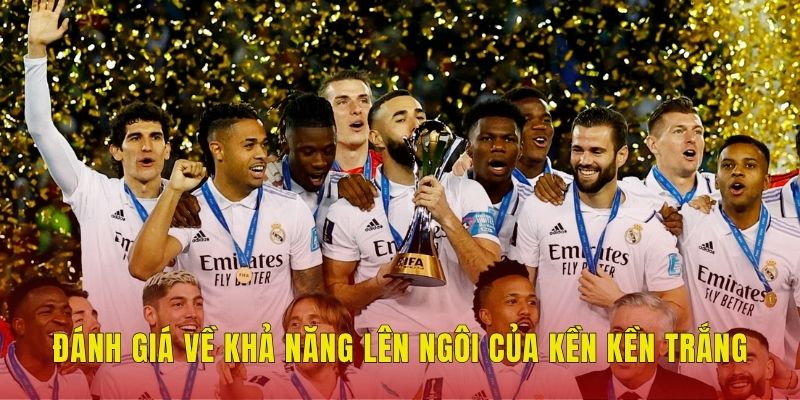 Đánh giá về khả năng lên ngôi của Kền kền trắng